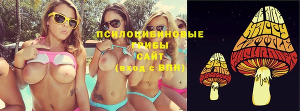 крисы Надым