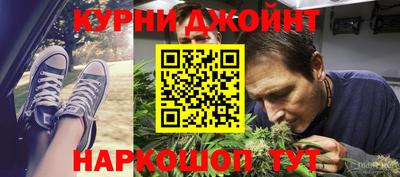 сатива Бийск