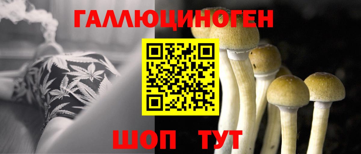 Карталы  сколько стоит  Вход с VPN  Галлюциногенные грибы прущие грибы  Псилоцибиновые грибы прущие грибы 