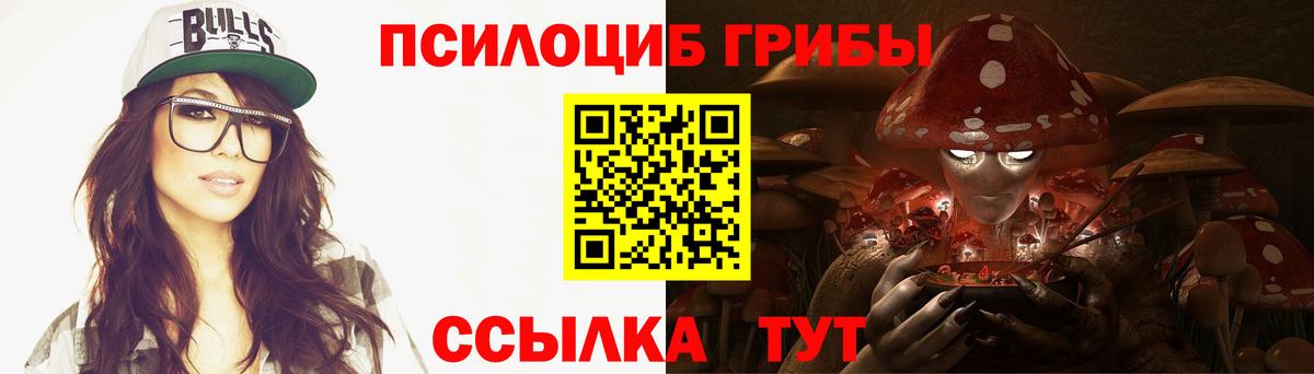 Псилоцибиновые грибы Psilocybine cubensis Карталы